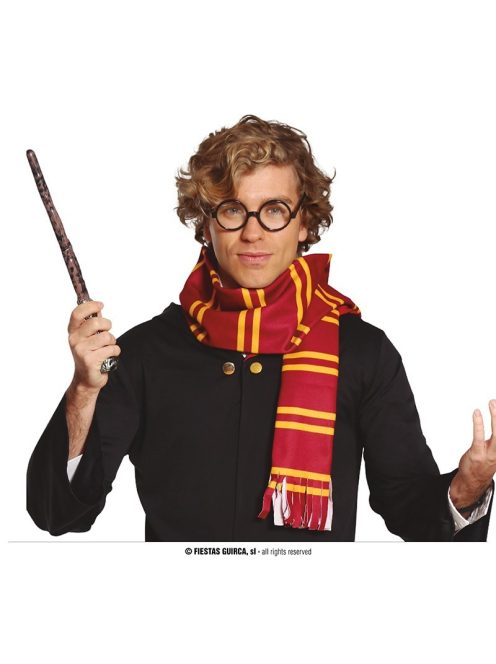 Harry Potter griffendél sál szemüveggel 