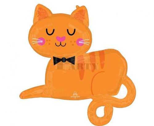 Cica fólia lufi csokornyakkendővel