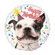 Happy Birthday Boston terrier fólia lufi 43 cm