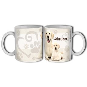 Labrador bögre