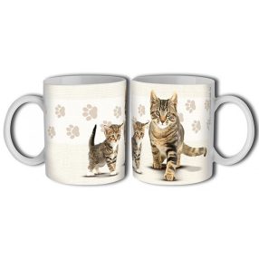 Bengáli macska bögre