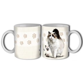 Ragdoll macska bögre