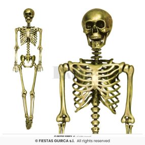 Csontváz arany 90 cm