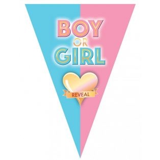 Boy or Girl zászlófüzér